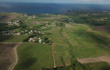Thickets Plantation, St. Philip, Barbados