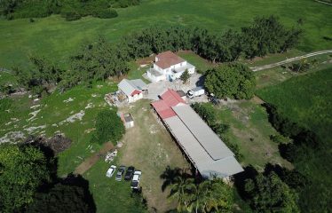 Roach’s Plantation, St. Lucy, Barbados