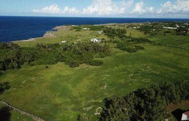 Roach’s Plantation, St. Lucy, Barbados