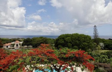 Chasse Spleen, Sandy Lane, St. James, Barbados