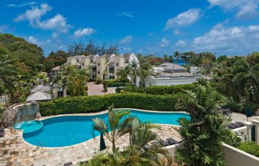 ( Coco 13 ) Mullins Bay, St. Peter ( Barbados )