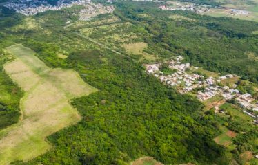 Mount Brevitor, Development Land, St. Peter, Barbados