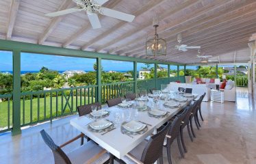Bananaquit, Sugar Hill Estate, Westmoreland, St. James, Barbados