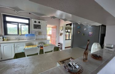 Lot 172 Fortescue, St. Philip, Barbados