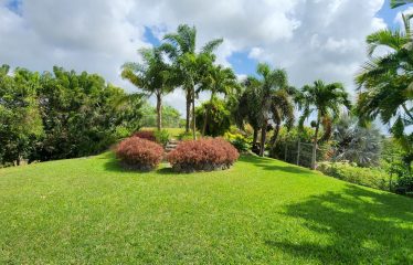 Free Hill, St. George, Barbados