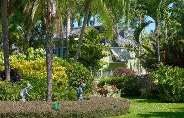 Strong Hope Plantation, Proutes, St. Thomas, Barbados