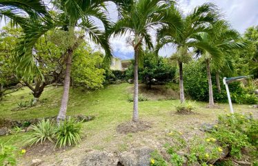 Baywatch, Martins Bay, St. John, Barbados