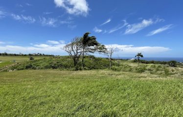 Apes Hill Golf Resort, Great Hill Lot I12, St. James, Barbados