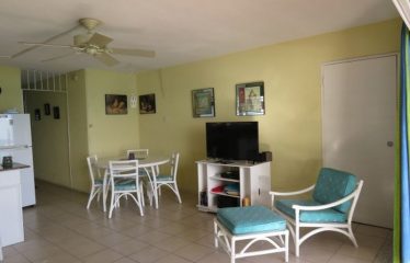Apt D, Sea Foam Haciendas, Worthing, Christ Church, Barbados