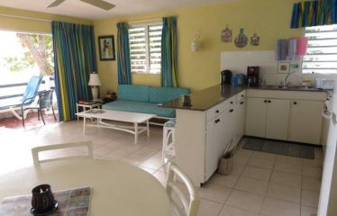 Apt D, Sea Foam Haciendas, Worthing, Christ Church, Barbados