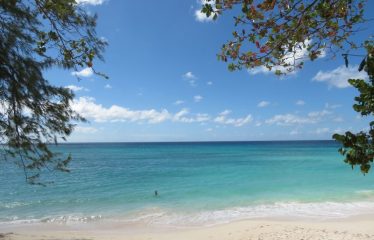 Apt D, Sea Foam Haciendas, Worthing, Christ Church, Barbados