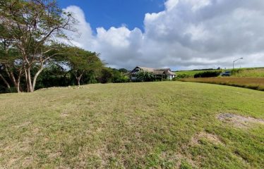 Lot 44 Gully View Road, Locust Hall, St. George, Barbados