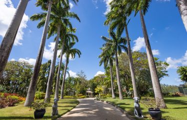 Coral Sundown, Sugar Hill Resort, St. James, Barbados