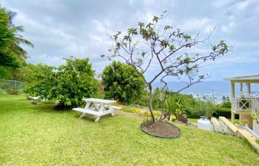 Baywatch, Martins Bay, St. John, Barbados