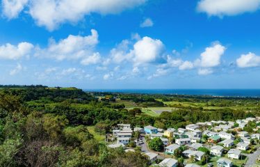 Mount Brevitor, St. Peter, Barbados