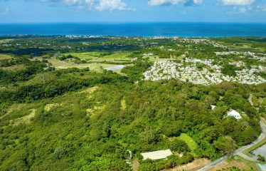 Mount Brevitor, St. Peter, Barbados