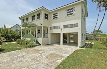Dowitcher, Christ Church, Barbados