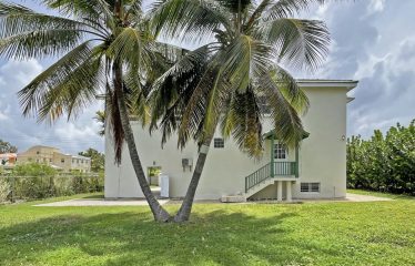 Dowitcher, Christ Church, Barbados
