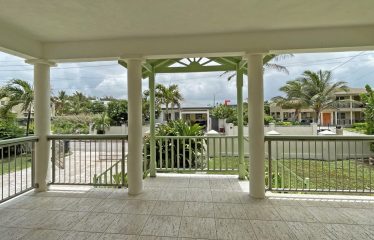 Dowitcher, Christ Church, Barbados