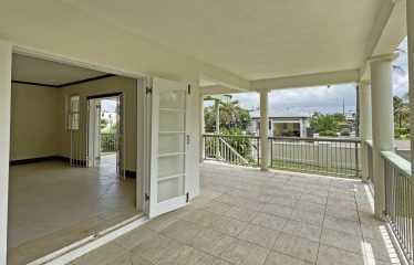 Dowitcher, Christ Church, Barbados