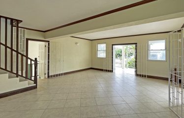Dowitcher, Christ Church, Barbados