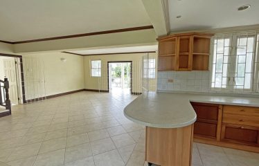 Dowitcher, Christ Church, Barbados