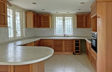 Dowitcher, Christ Church, Barbados