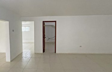 Dowitcher, Christ Church, Barbados
