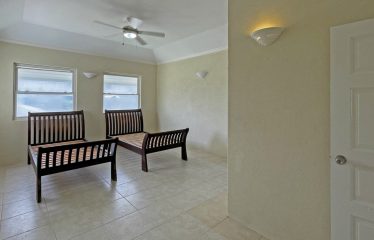 Dowitcher, Christ Church, Barbados