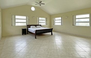 Dowitcher, Christ Church, Barbados