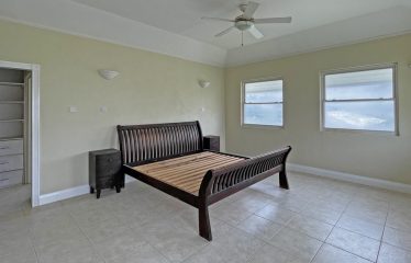 Dowitcher, Christ Church, Barbados