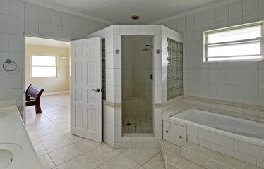 Dowitcher, Christ Church, Barbados