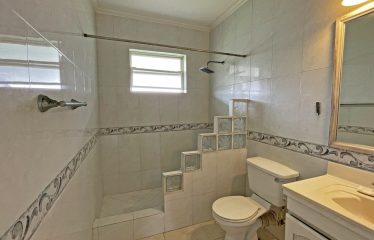 Dowitcher, Christ Church, Barbados