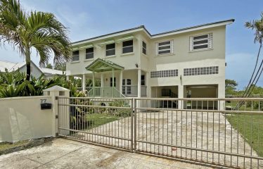 Dowitcher, Christ Church, Barbados