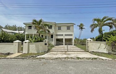 Dowitcher, Christ Church, Barbados