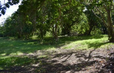 Porters A1 & A2, St. James, Barbados