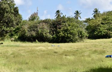 Porters A1 & A2, St. James, Barbados