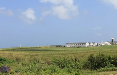 Lands Of Mount Gay, St. Peter/ St. Lucy, Barbados