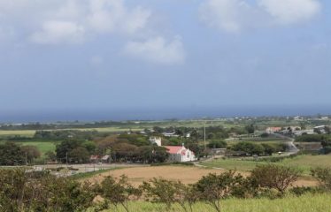 Lands Of Mount Gay, St. Peter/ St. Lucy, Barbados