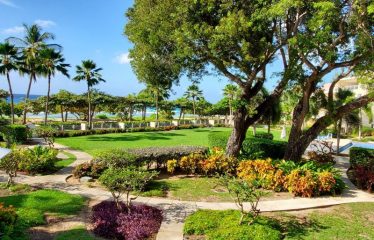 203 Palm Beach Condominiums, Hastings, Christ Church, Barbados