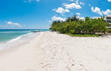 204 Palm Beach Condominiums, Hastings, Christ Church, Barbados