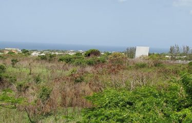 #38 South Ridge, Christ Church, Barbados