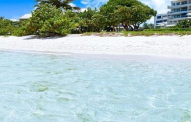 203 Palm Beach Condominiums, Hastings, Christ Church, Barbados