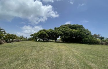 Bali Hai, Horse Hill, St. Joseph, Barbados