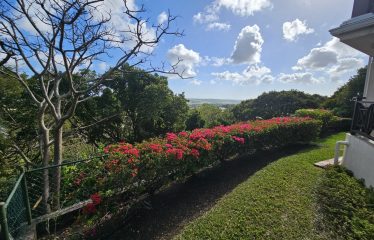 #7 The Mount, St. George, Barbados