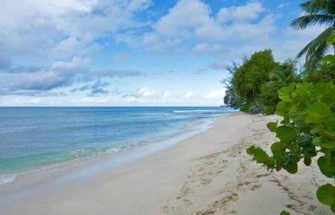 Milord, Fitts Village, St. James, Barbados