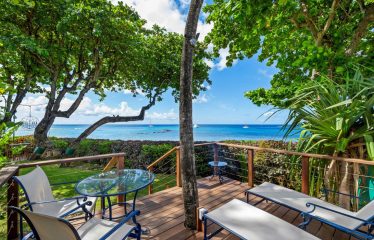 Sand Dollar, West Coast, St. James, Barbados