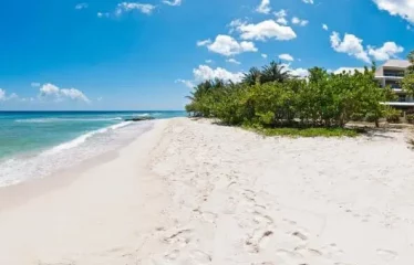 Unit 408, Palm Beach, Hastings, Christ Church, Barbados