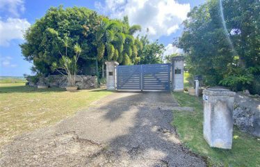 Countryside, St. Thomas, Barbados