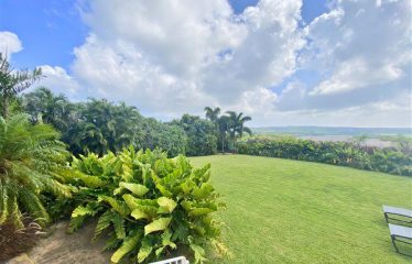 Countryside, St. Thomas, Barbados